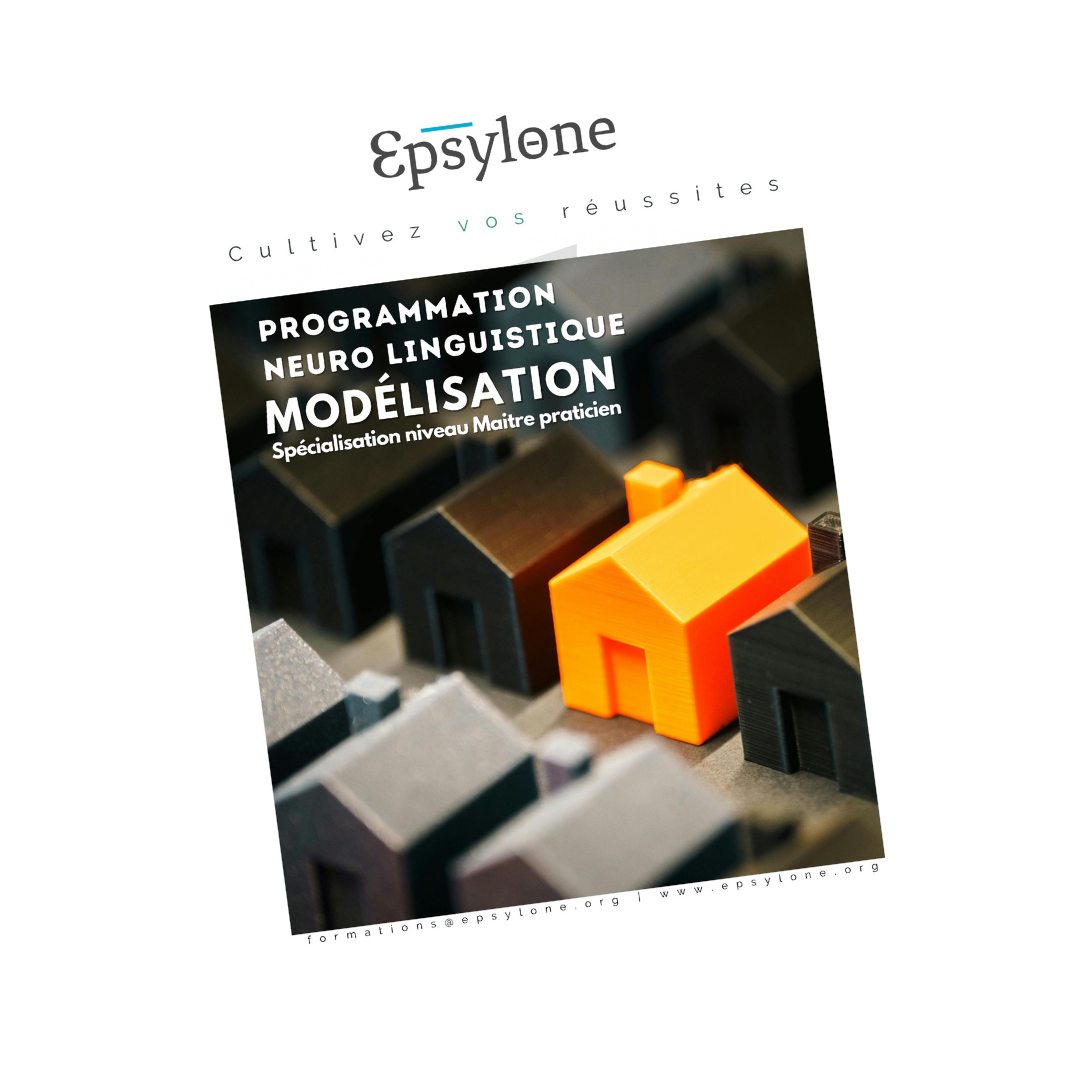Brochure FORMATION MAÎTRE PRATICIEN PNL : MODÉLISATION AVANCÉE